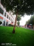 微信图片_20201019210521.jpg